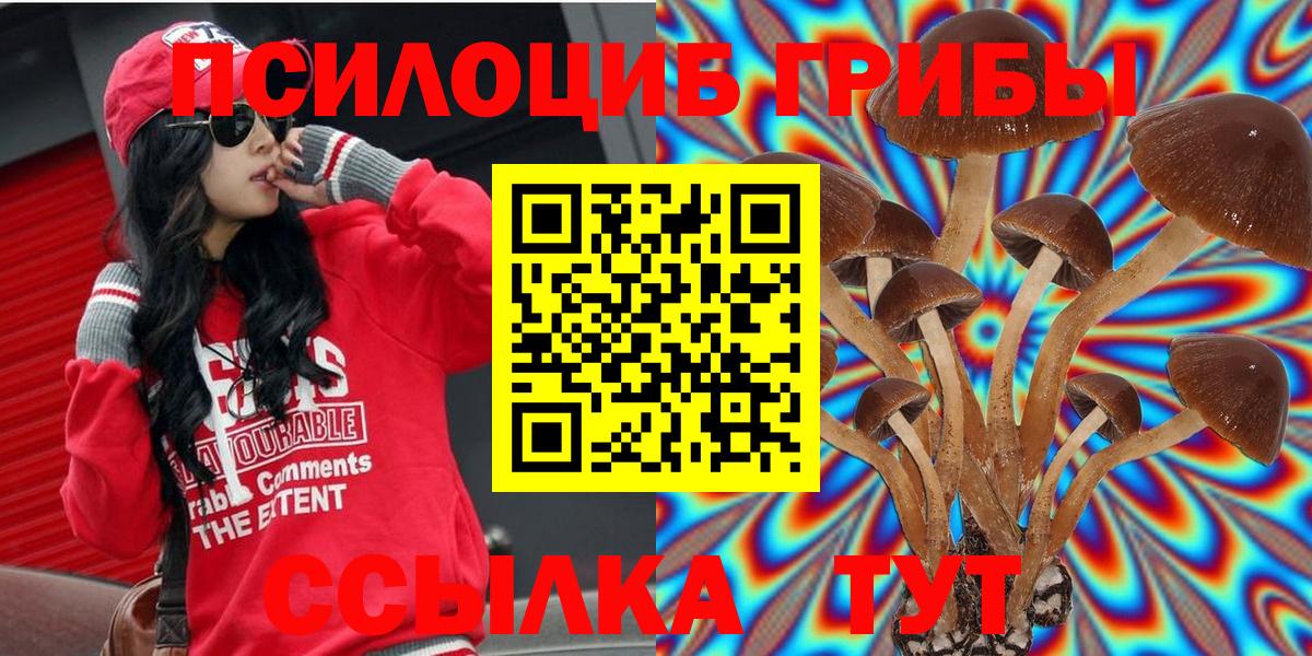 Галлюциногенные грибы прущие грибы Махачкала