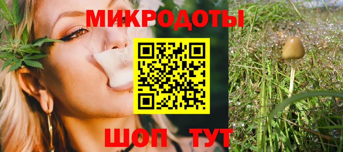 А ПВП Махачкала