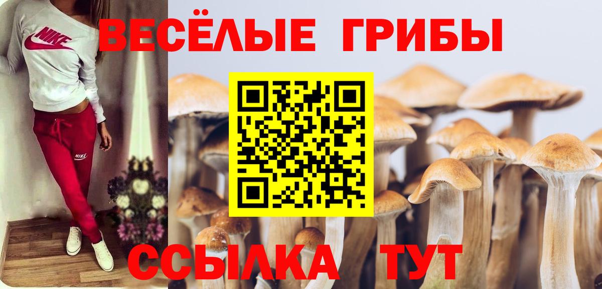 Псилоцибиновые грибы Psilocybine cubensis  Вход с VPN  Псилоцибиновые грибы Psilocybe  Махачкала 